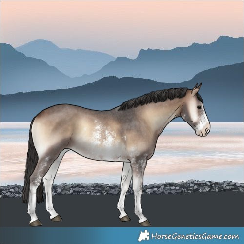 Horse Color:Brown Onyx Sabino 