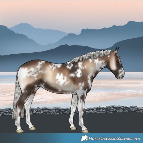 Horse Color:White Spotted Liver Red Onyx Mushroom 