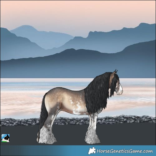 Horse Color:Brown Onyx Sabino Rabicano 