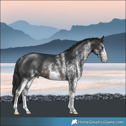 Horse Color:White Spotted Brown Mushroom Rabicano