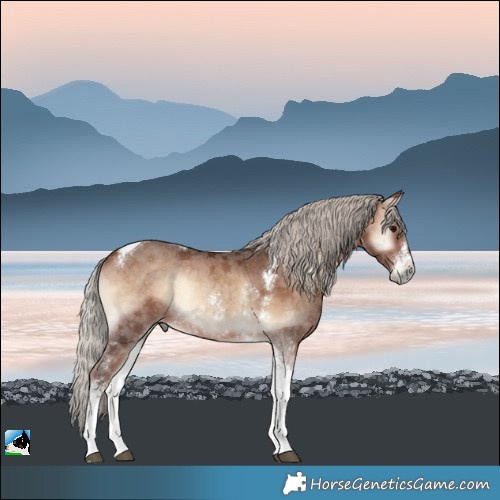 Horse Color:Silver Brown Onyx Sabino Tobiano Rabicano 