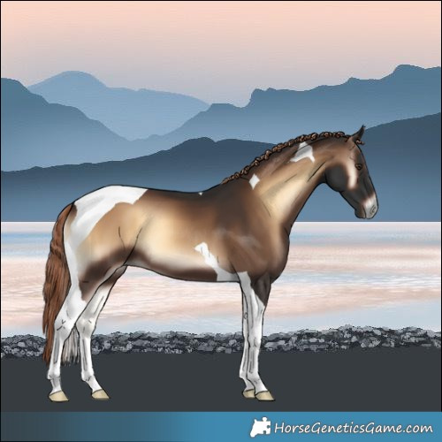 Horse Color:Liver Red Onyx Tobiano 
