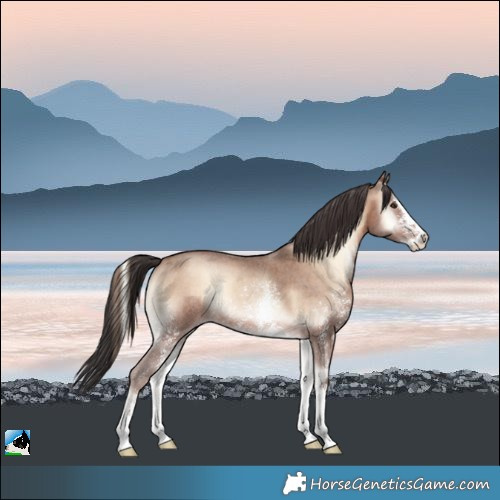 Horse Color:Sable Champagne Onyx Sabino Rabicano 