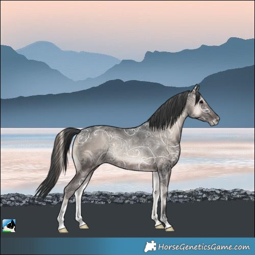 Horse Color:Blue Onyx Ice Rabicano 