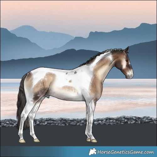 Horse Color:Liver Red Onyx Tobiano Rabicano 
