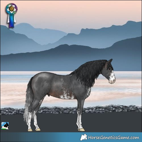 Horse Color:Brown Sabino