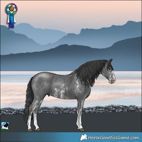 Horse Color:Black Sabino