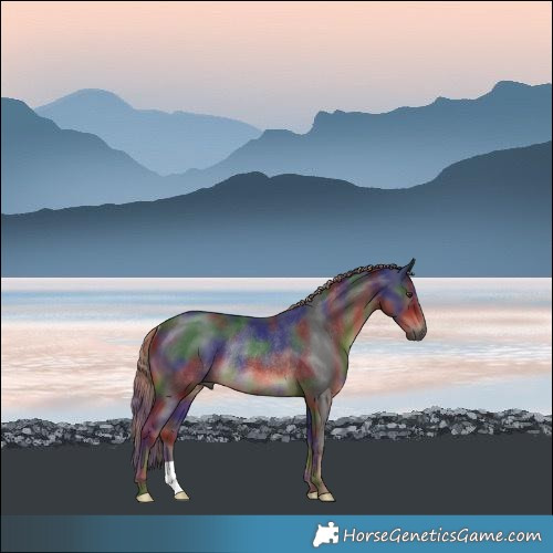 Horse Color:Nacre Liver Chestnut Rabicano 