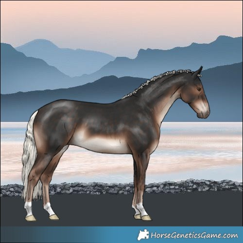 Horse Color:Liver Chestnut Mushroom 