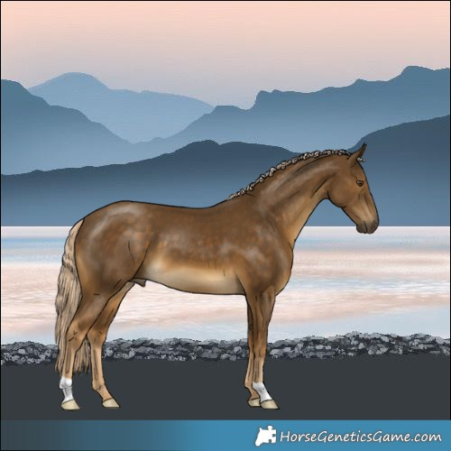 Horse Color:Chocolate Palomino Mushroom 