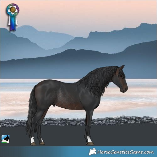 Horse Color:Bay Rabicano