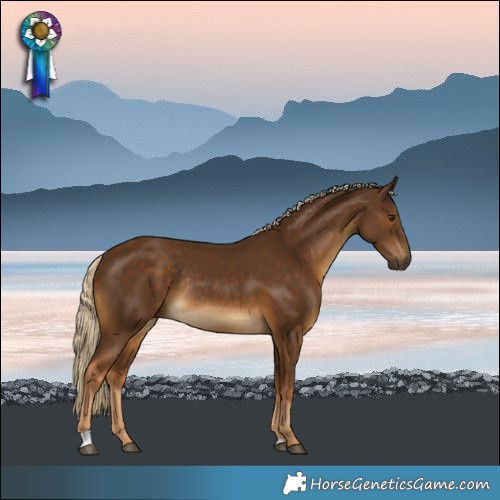 Horse Color:Chocolate Palomino Rabicano