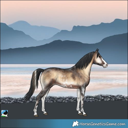 Horse Color:Brown Onyx Sabino 
