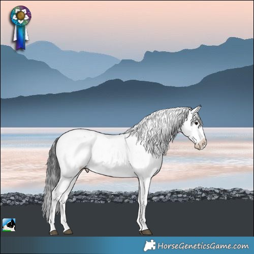 Horse Color:Black Sabino Rabicano