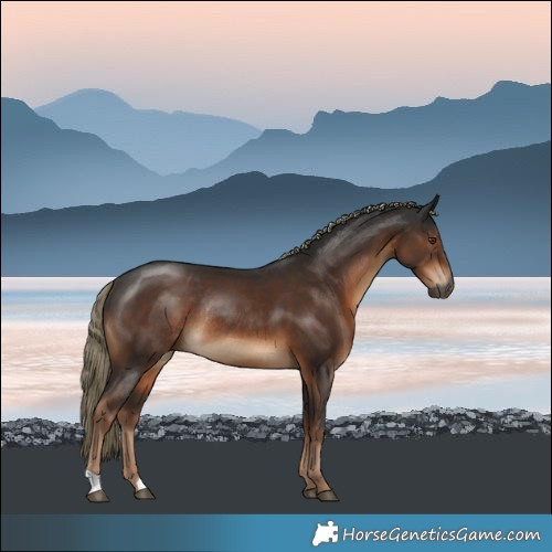 Horse Color:Gray Liver Chestnut Mushroom Rabicano