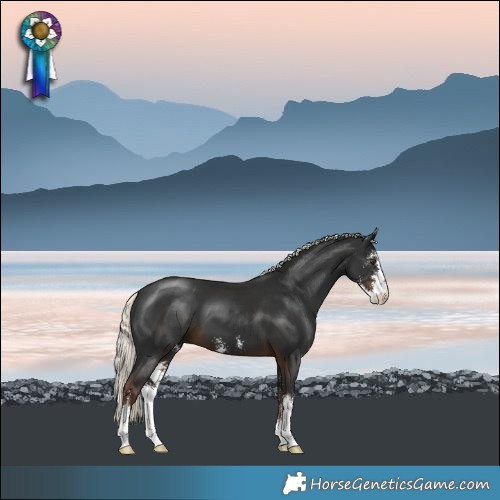 Horse Color:Liver Chestnut Mushroom Sabino