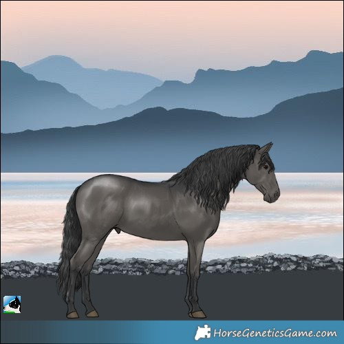 Horse Color:Black Rabicano