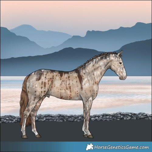 Horse Color:Liver Red Dun Ice Sabino Brindle