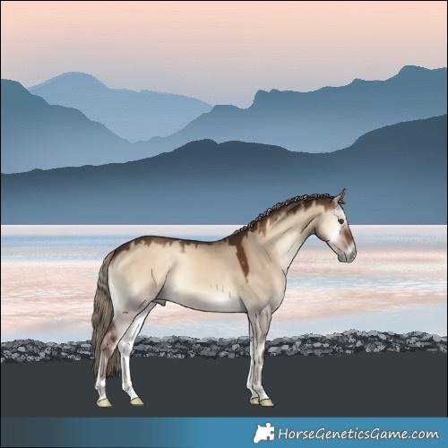 Horse Color:Liver Red Dun Onyx 