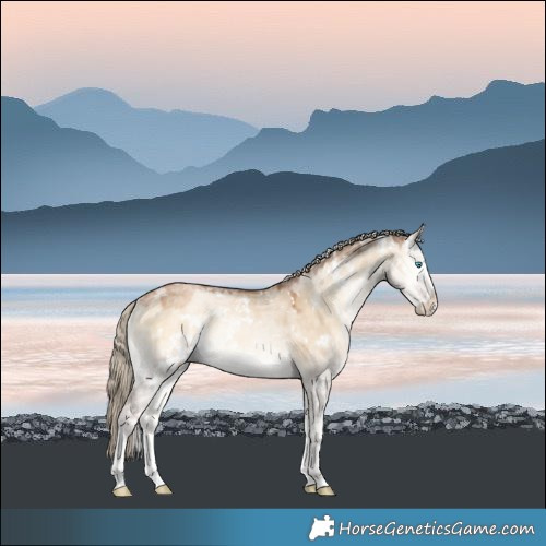 Horse Color:White Spotted Chocolate Palomino Ice Pearl Onyx Sabino Rabicano 