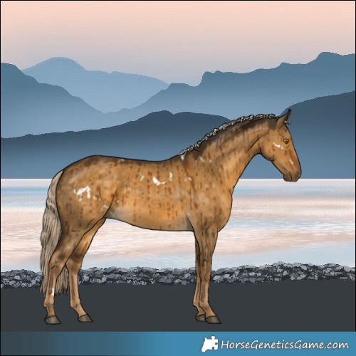 Horse Color:White Spotted Chocolate Palomino Dun Rabicano Brindle 