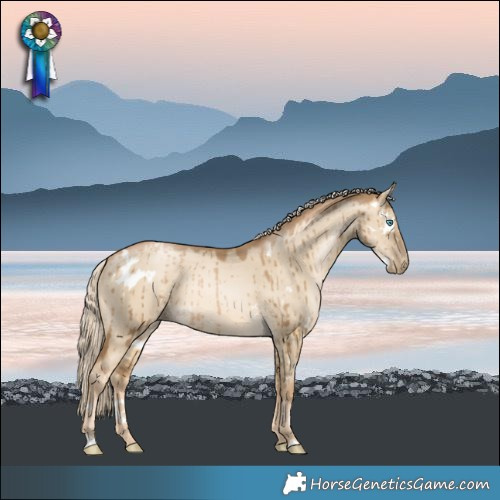 Horse Color:White Spotted Chocolate Palomino Pearl Dun Rabicano Brindle 