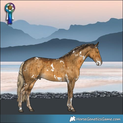 Horse Color:White Spotted Chocolate Palomino Dun Brindle 