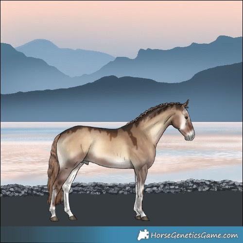 Horse Color:Liver Red Dun Onyx 
