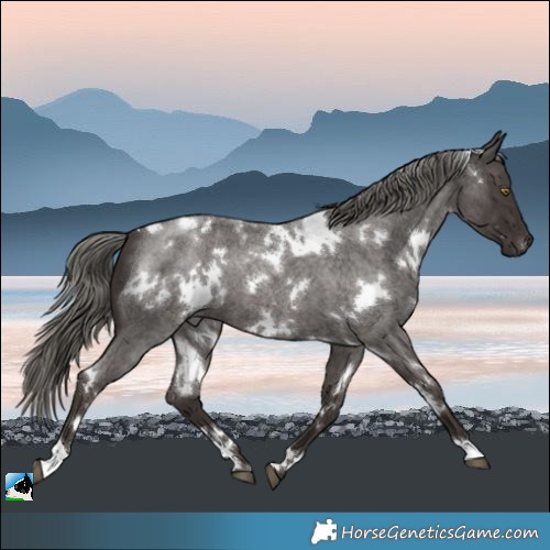 Horse Color:White Spotted Liver Red Roan Mushroom