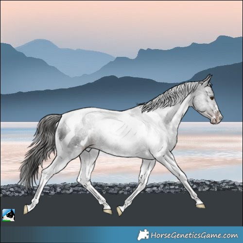 Horse Color:White Spotted Liver Chestnut Tobiano Rabicano