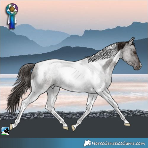 Horse Color:Liver Red Roan Tobiano Rabicano