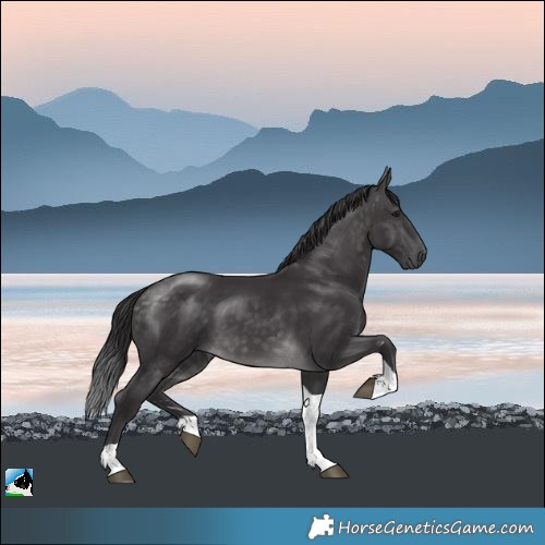 Horse Color:Platinum Buckskin Tobiano