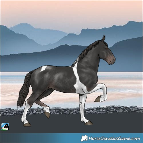 Horse Color:Platinum Liver Chestnut Tobiano Rabicano