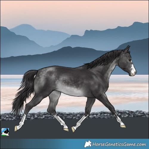 Horse Color:Platinum Buckskin