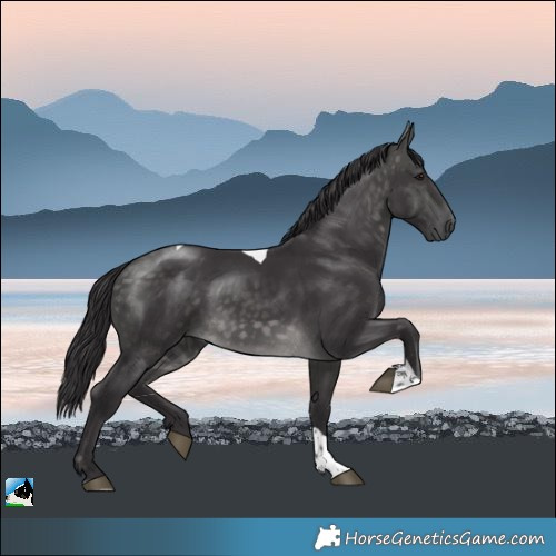 Horse Color:Platinum Buckskin Tobiano