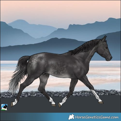Horse Color:Platinum Buckskin Tobiano Rabicano 