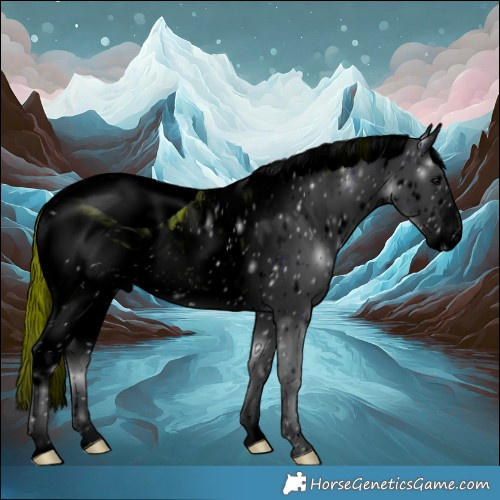 Horse Color:ERROR: UNKNOWN ANOMALY