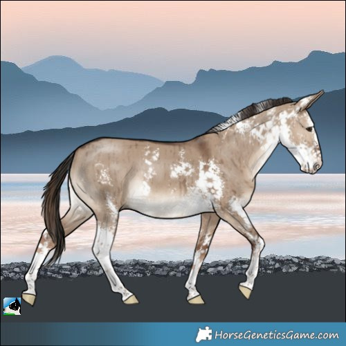 Horse Color:Liver Red Dun Sabino Brindle 