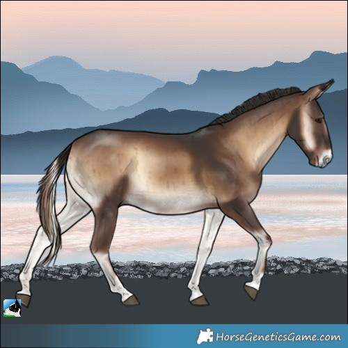 Horse Color:Liver Red Onyx Rabicano Brindle
