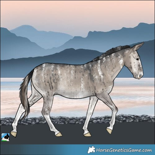 Horse Color:Powder White Grullo Onyx Sabino Rabicano Brindle 