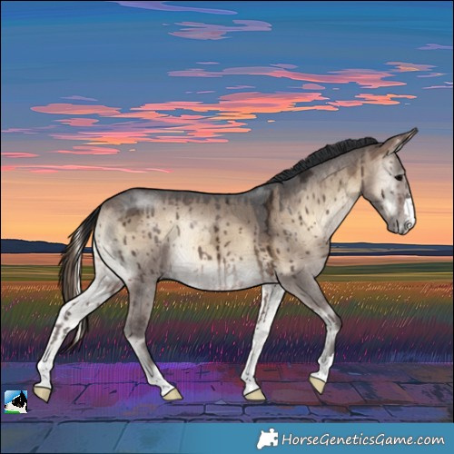 Horse Color:Brown Ice Onyx Rabicano Brindle 