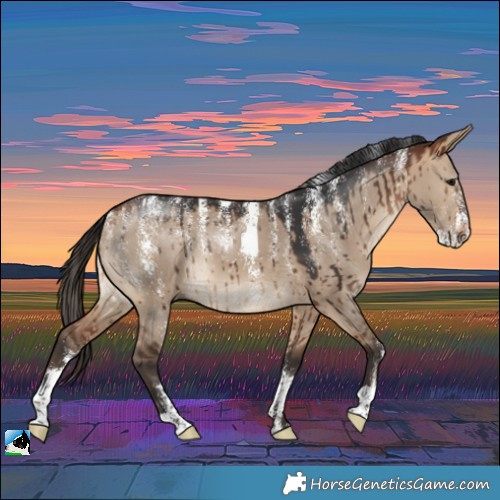 Horse Color:Powder White Bay Dun Brindle 