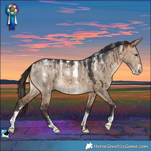 Horse Color:Powder White Bay Dun Brindle