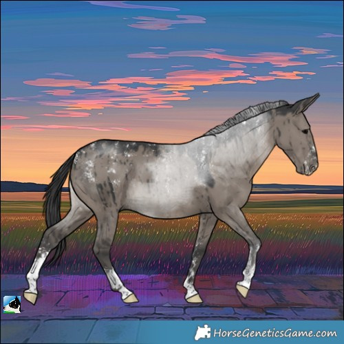 Horse Color:Powder White Grullo Sabino Brindle