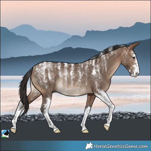 Horse Color:Powder White Brown Dun Sabino Rabicano Brindle
