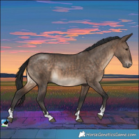 Horse Color:Brown Dun Brindle