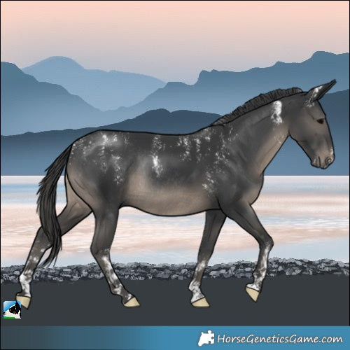 Horse Color:Powder White Black Rabicano 