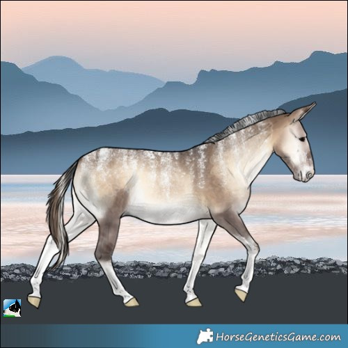Horse Color:Powder White Brown Onyx 