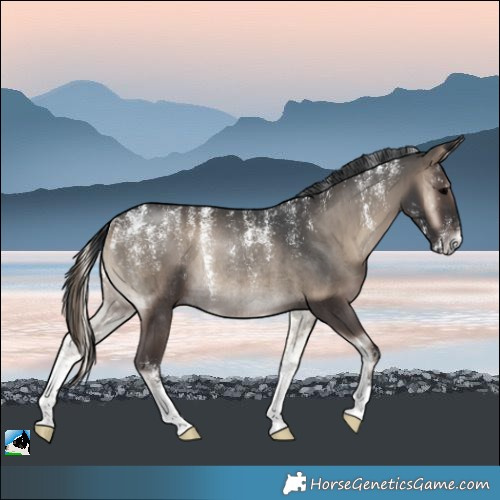 Horse Color:Powder White Blue Onyx Rabicano Brindle 