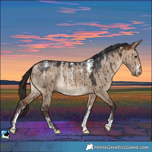 Horse Color:Powder White Brown Dun Brindle 